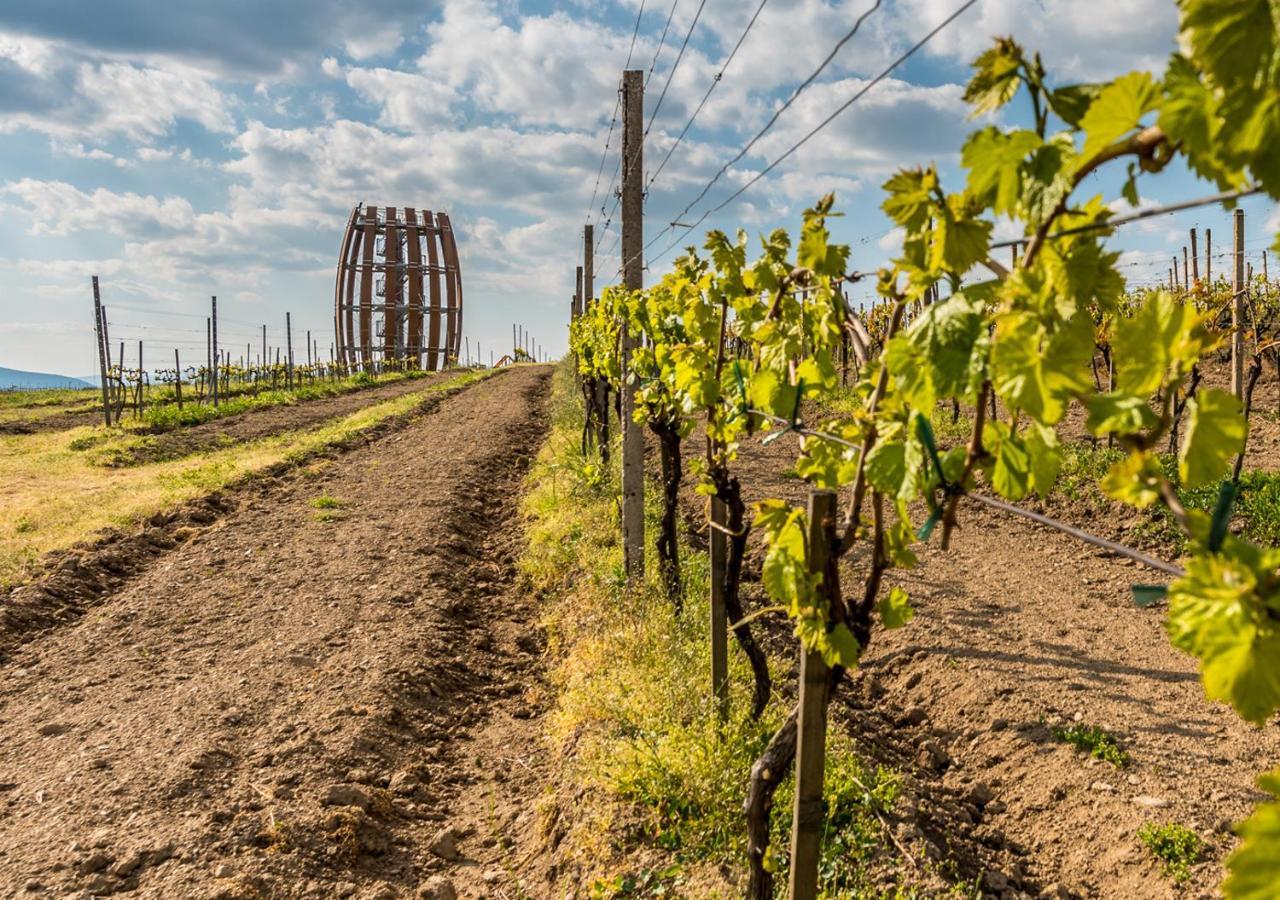 Mala Trna Penzion Tokaj Macik Winery B&B מראה חיצוני תמונה