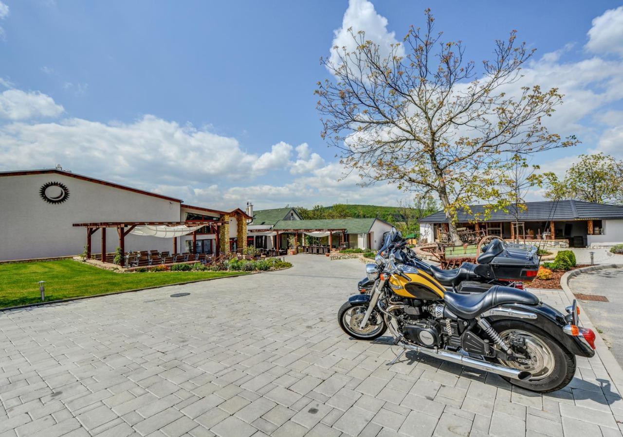 Mala Trna Penzion Tokaj Macik Winery B&B מראה חיצוני תמונה