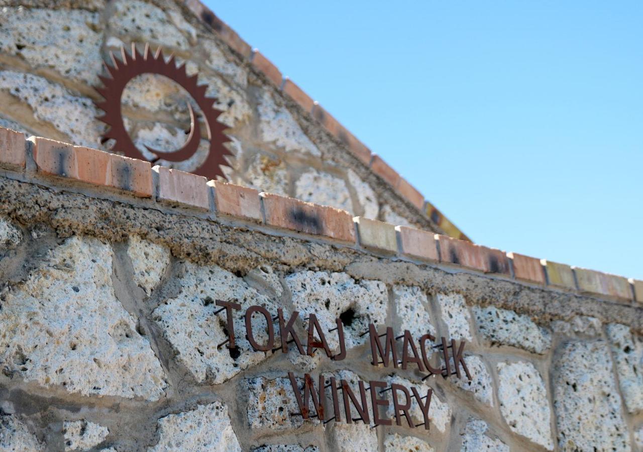 Mala Trna Penzion Tokaj Macik Winery B&B מראה חיצוני תמונה