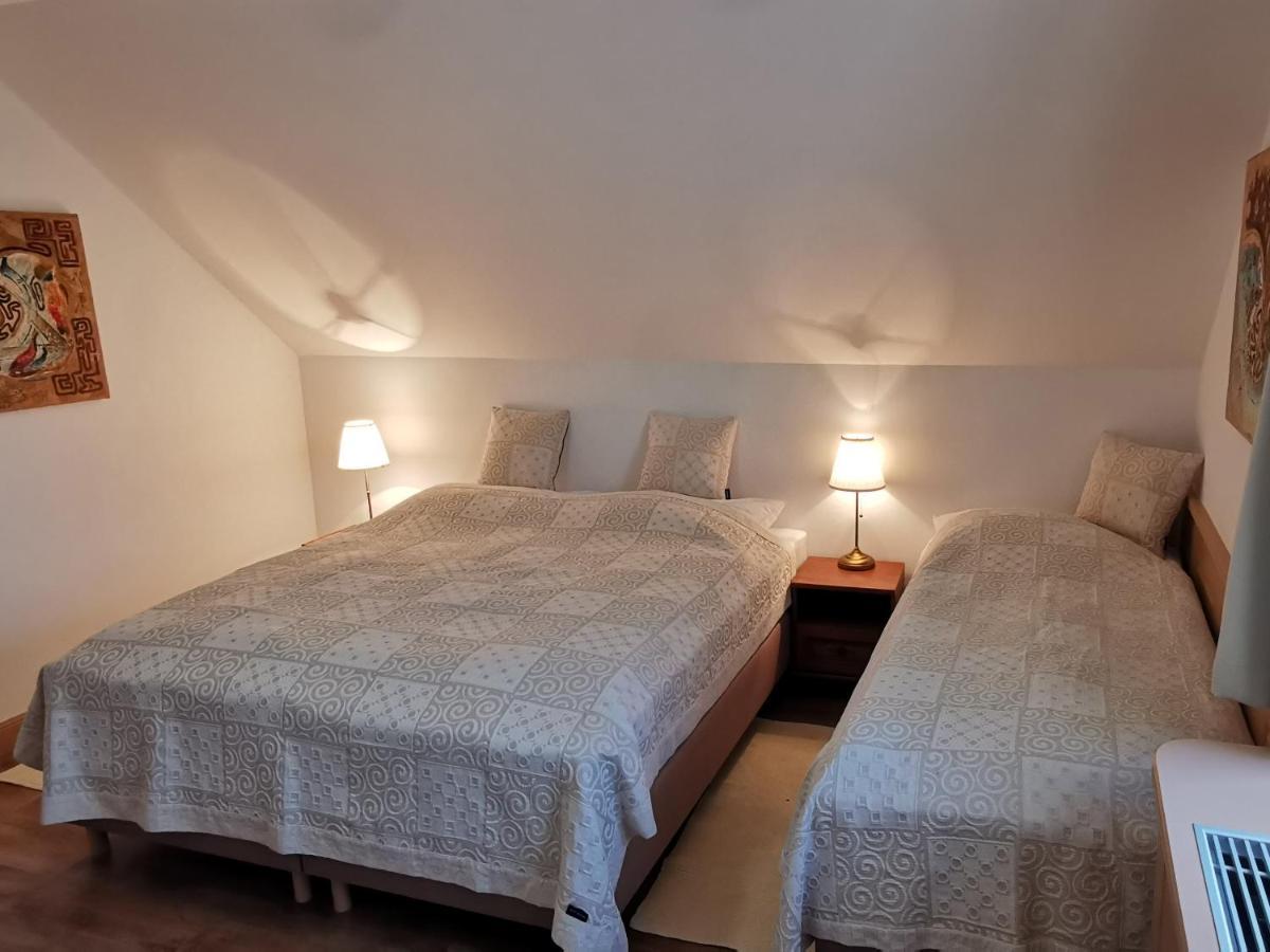 Mala Trna Penzion Tokaj Macik Winery B&B מראה חיצוני תמונה